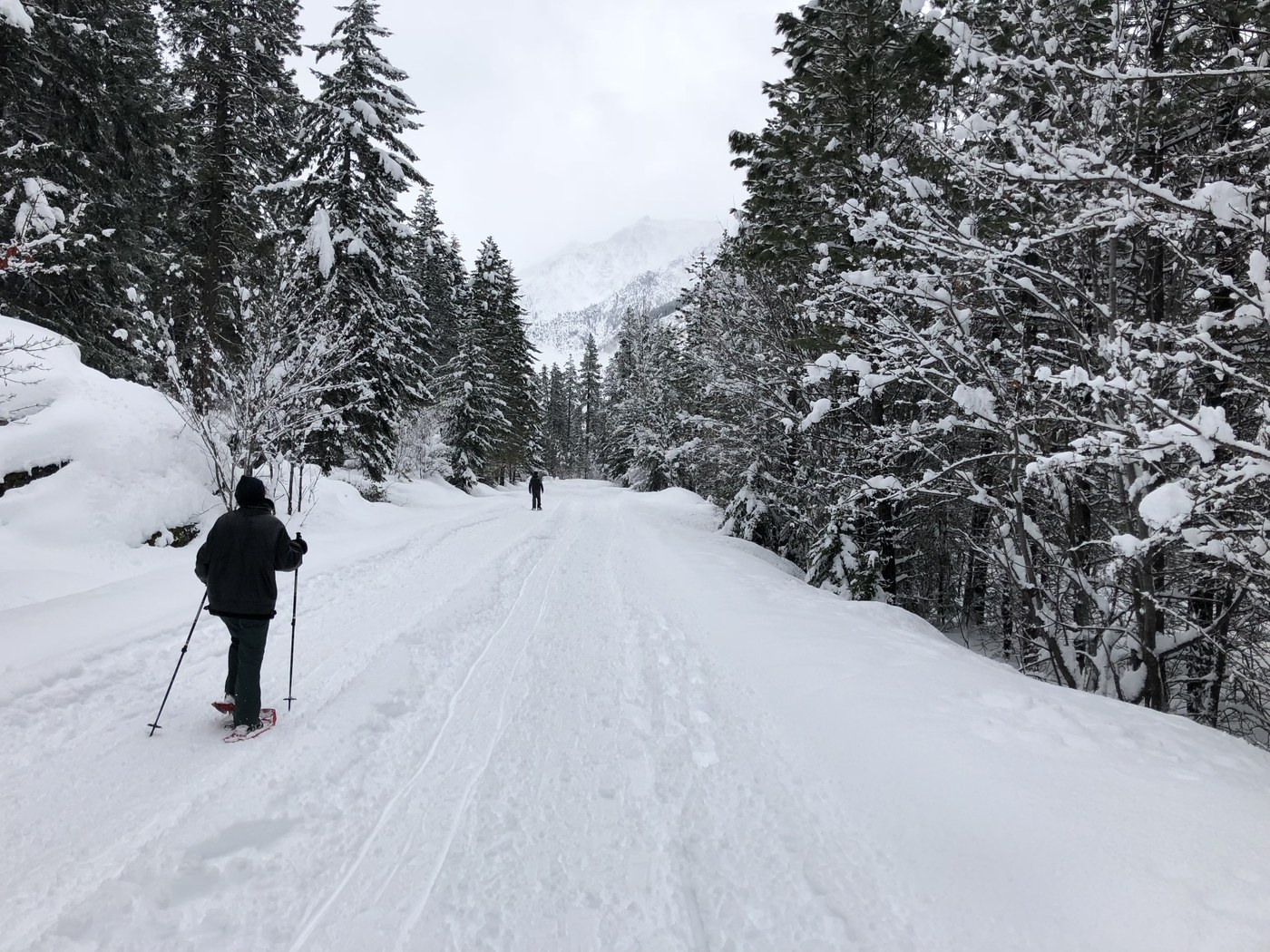 Trail/road condition