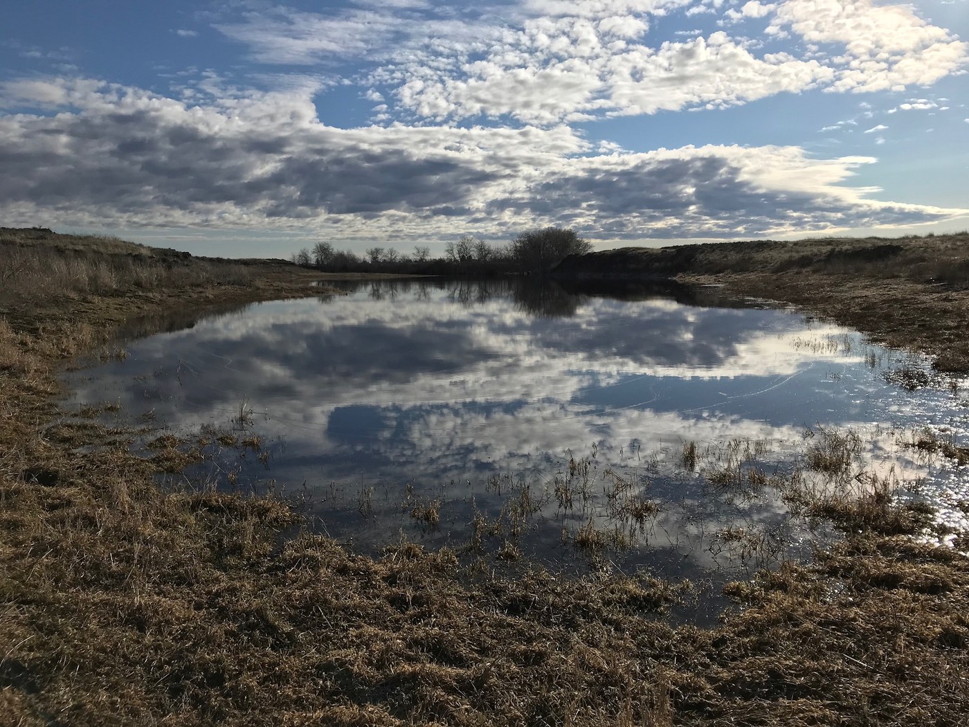 Morning reflections