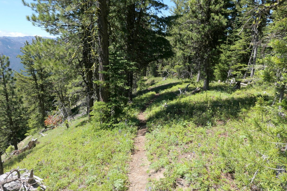 Pleasant Valley Lake Trail