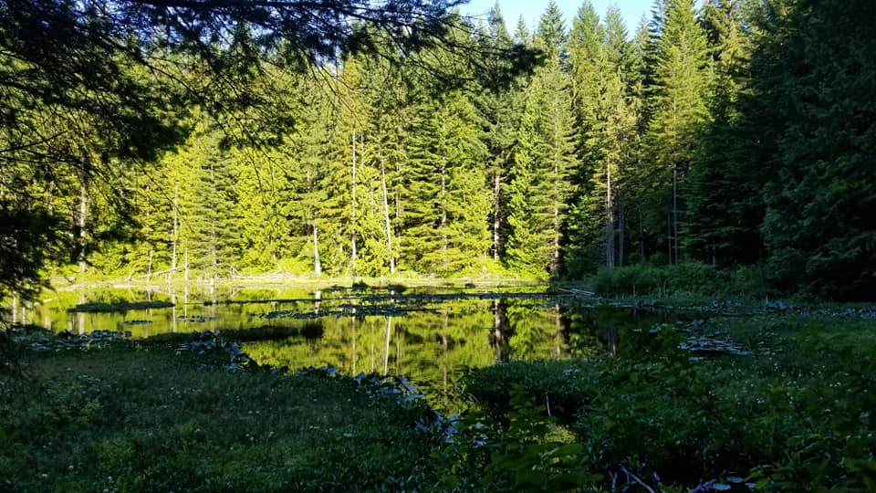Oyster Dome, Lily and Lizard Lake Loop — Washington Trails Association