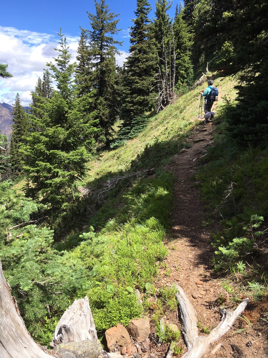See more pictures of the trail in the Flickr link