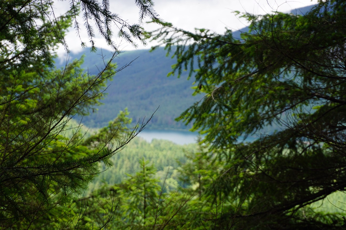 Cedar Butte by kkampf