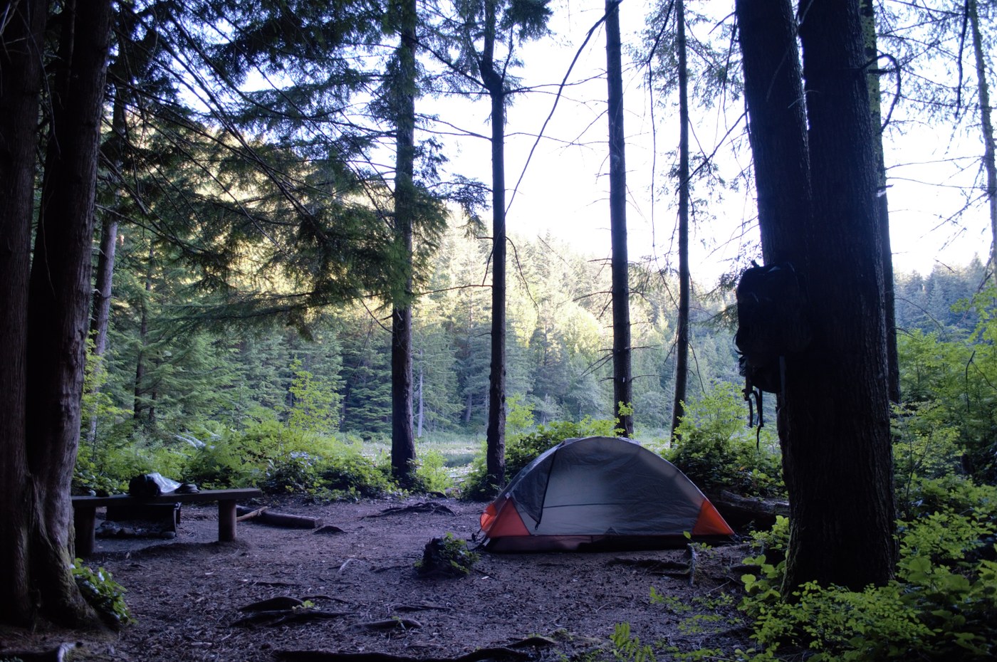 Lily Lake Camp