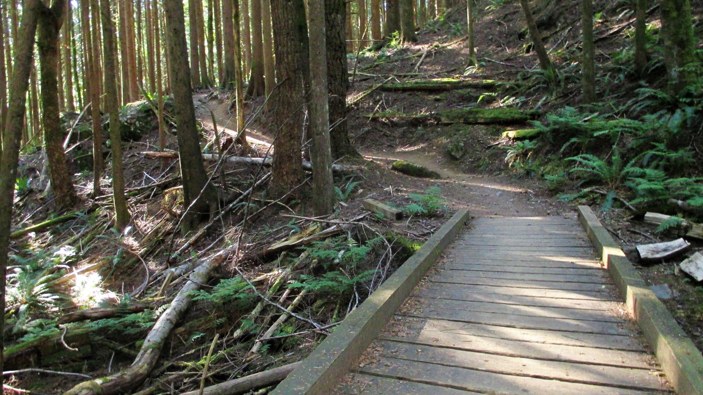 Lily Lake Trail