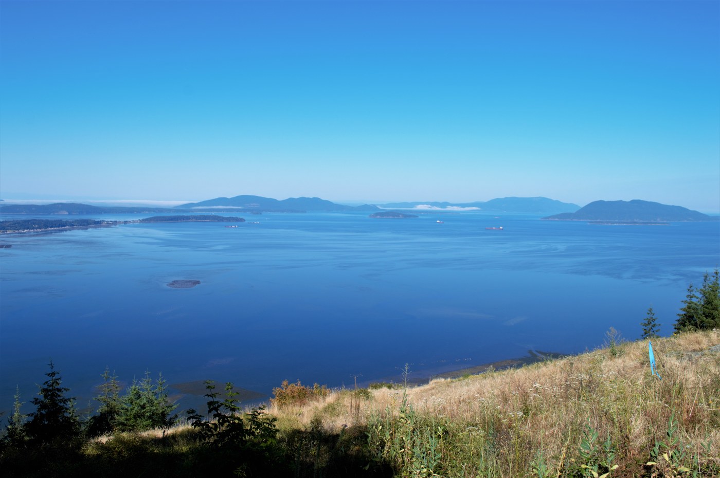 Samish Overlook