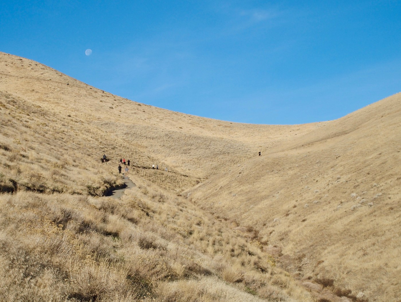 Trail and moon