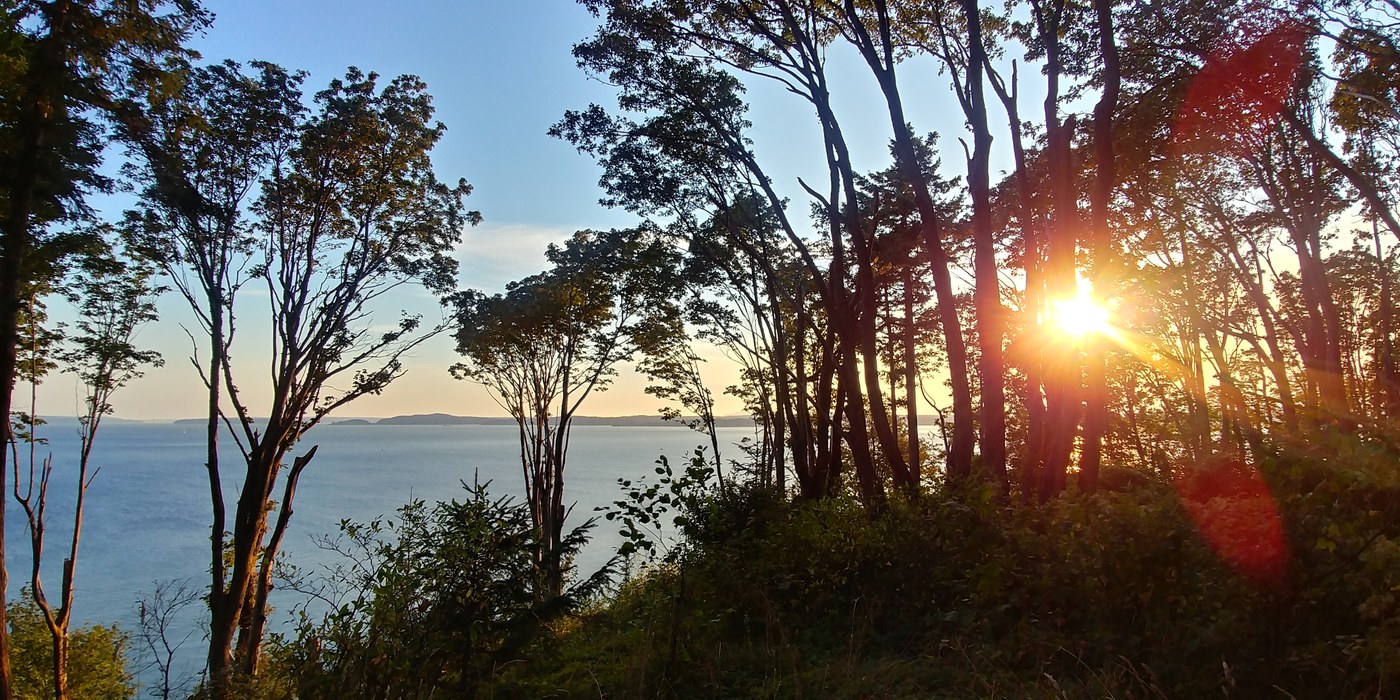 20180906_184859_HDR.jpg