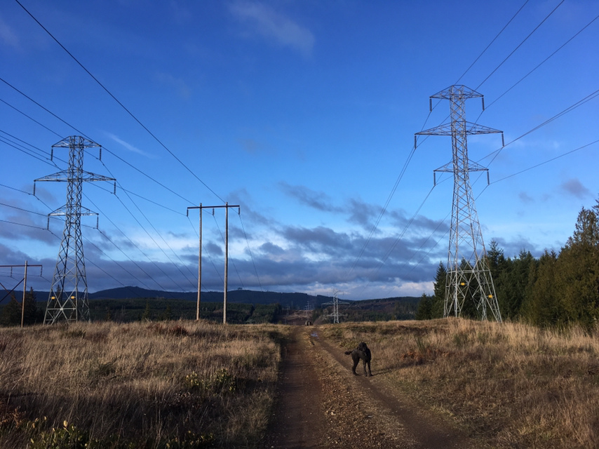 Kennedy Creek Natural Area Preserve — Washington Trails Association
