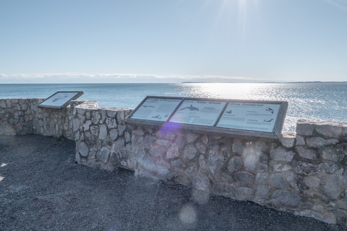 Whale Viewpoint