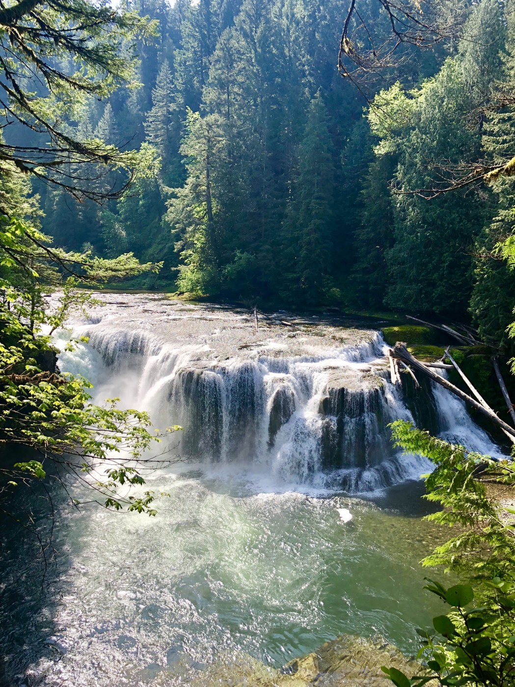 Lewis River Falls by Wander_the_pnw