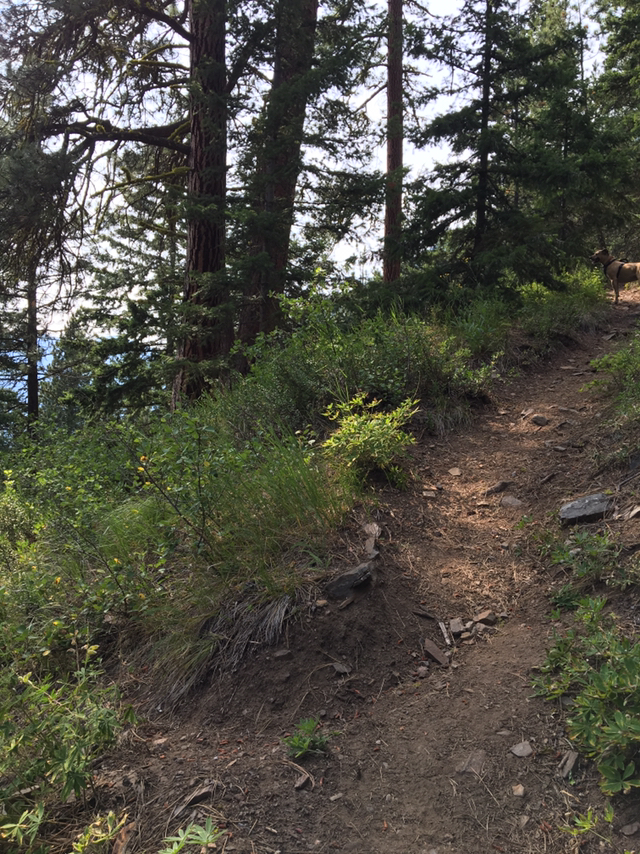 Chatter Creek — Washington Trails Association