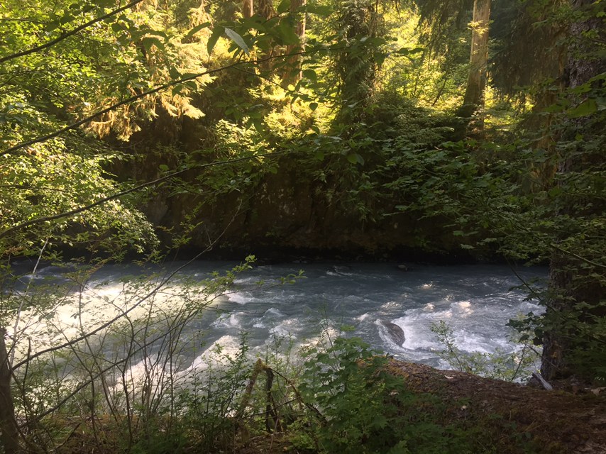 Hoh River Trail to Blue Glacier by southerntransplant