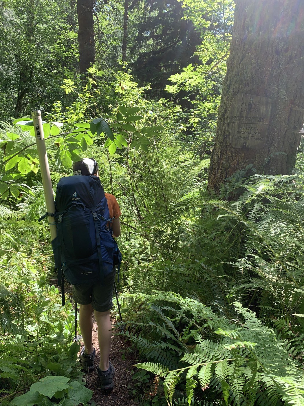 Brushy trail below the bridge