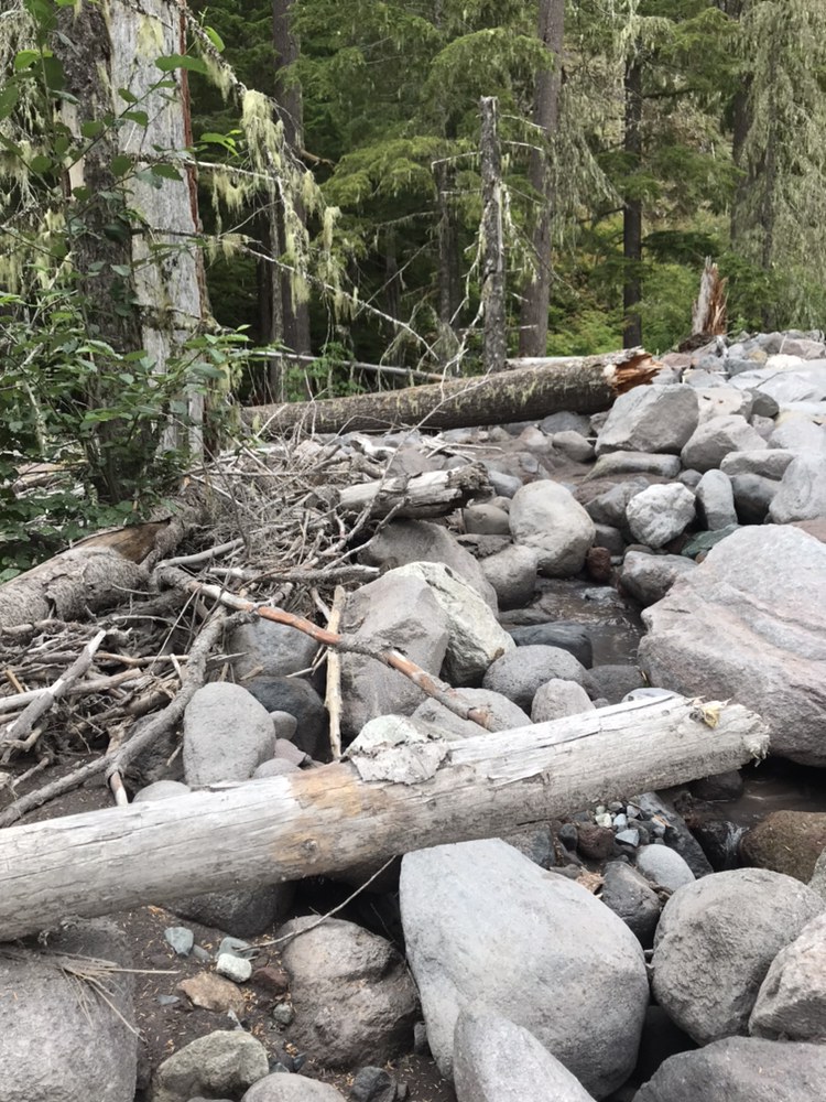 Tahoma Creek by misswhitney