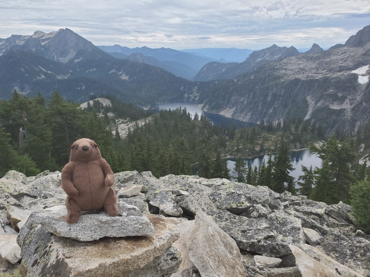 Hike-a-thon! https://give.wta.org/2heeldrive
