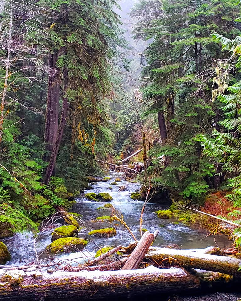 Lower Big Quilcene River — Washington Trails Association