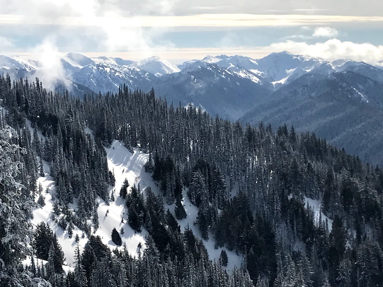 Hurricane Ridge Snowshoe — Washington Trails Association