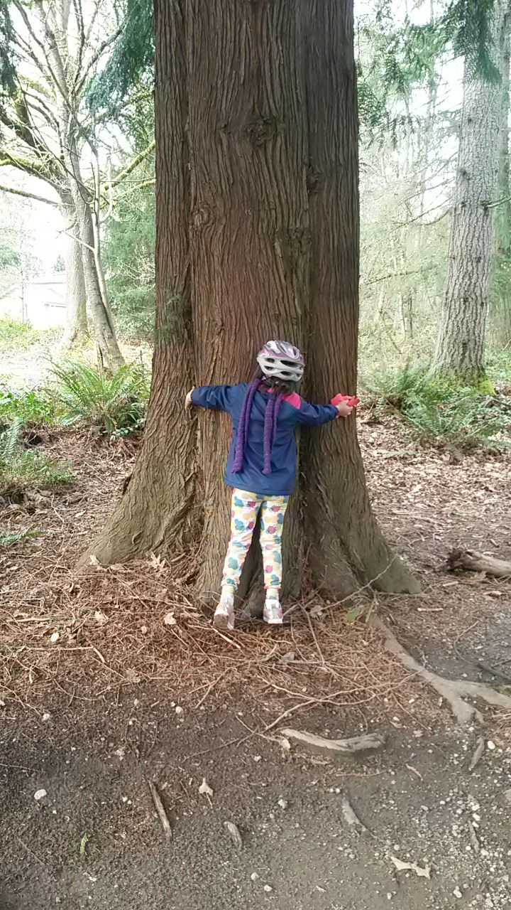 My Neighborhood — Washington Trails Association