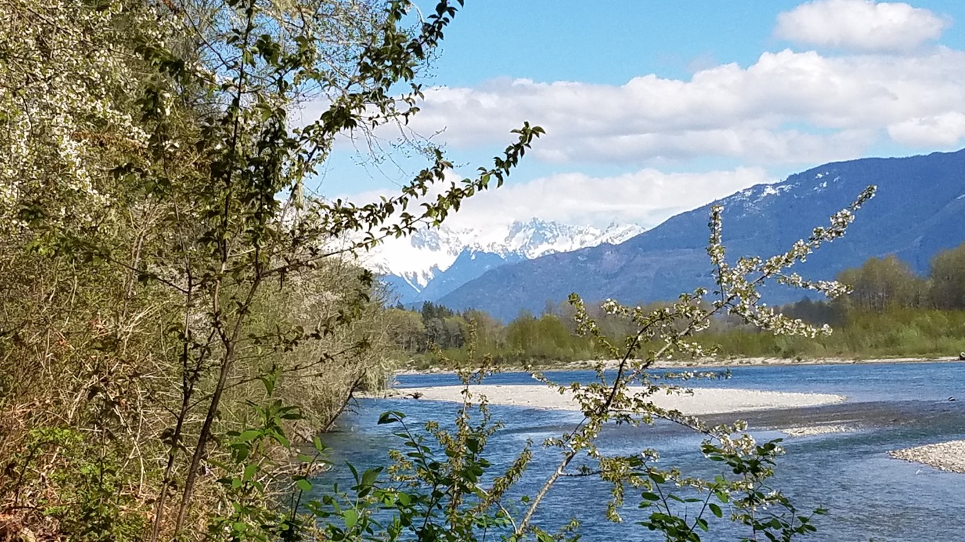 Skagit river and mtns