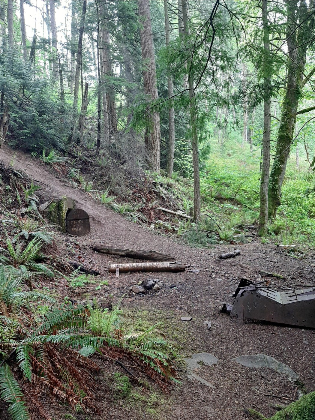 Old Mine Cart