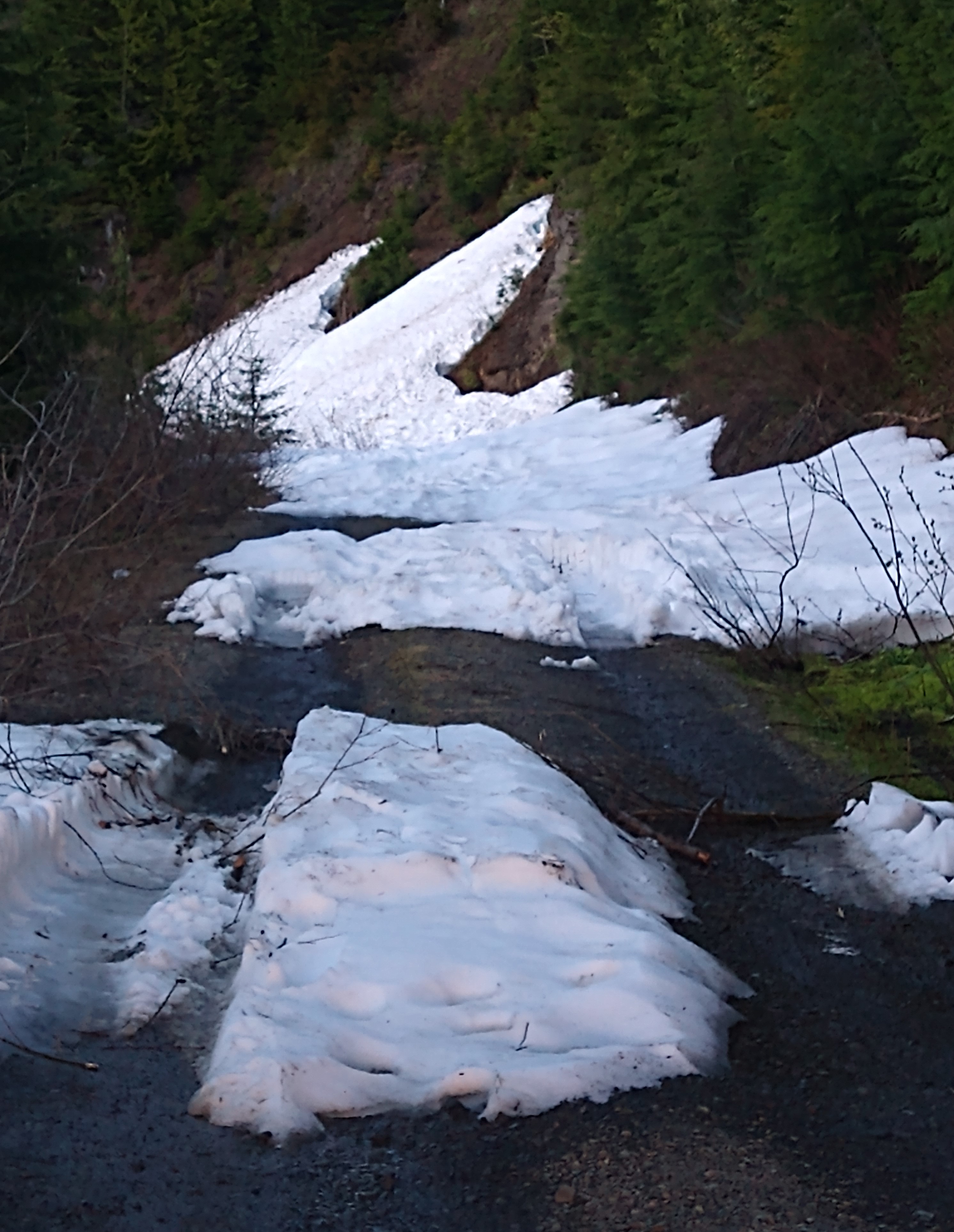 Coal Lake — Washington Trails Association