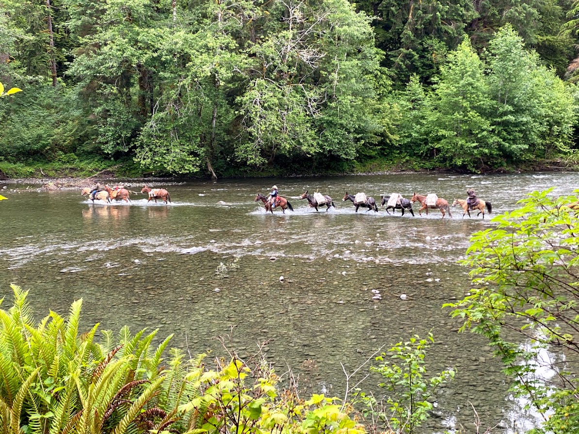 Bogachiel River — Washington Trails Association