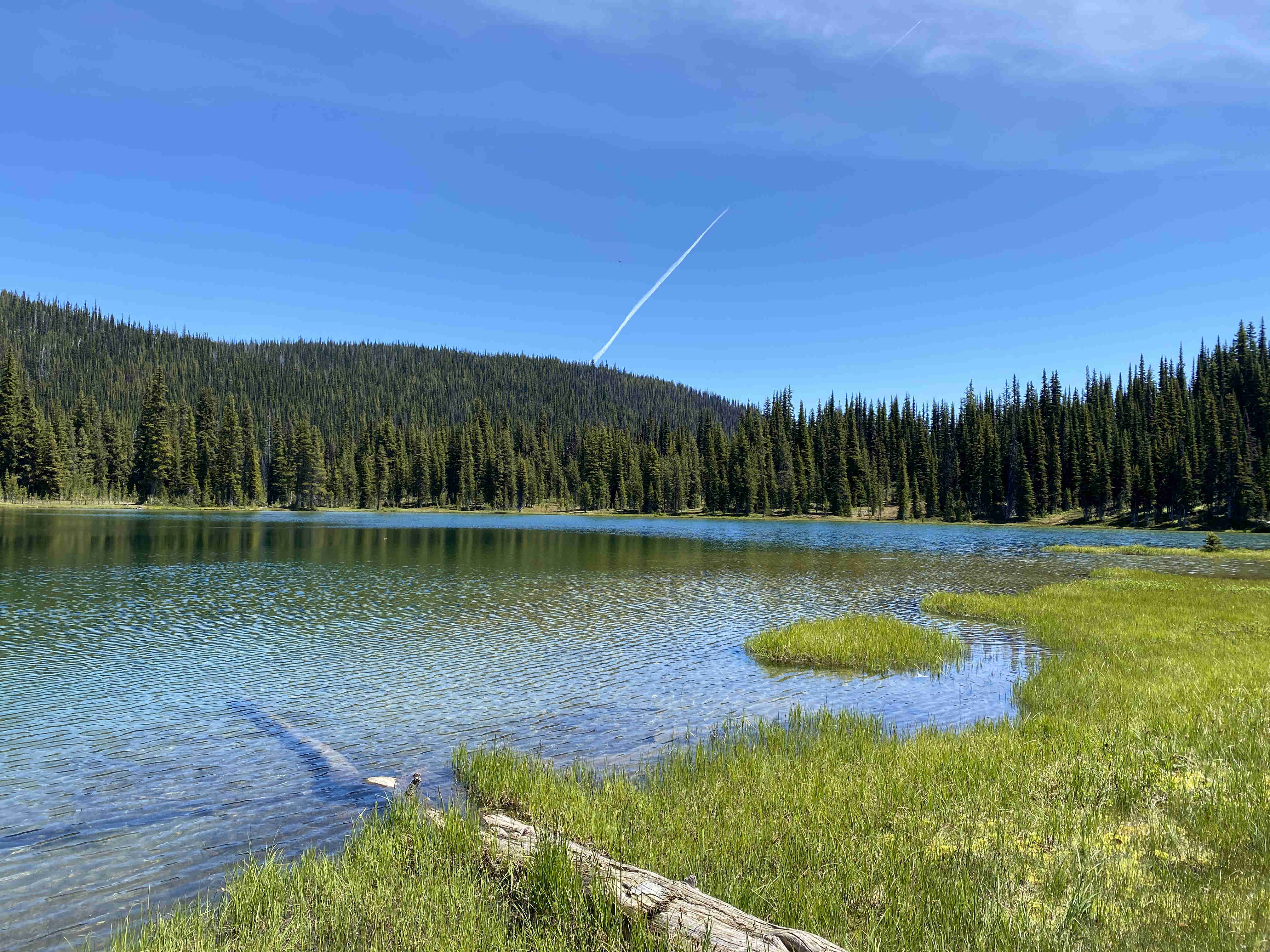 Upper Mad River Trail — Washington Trails Association