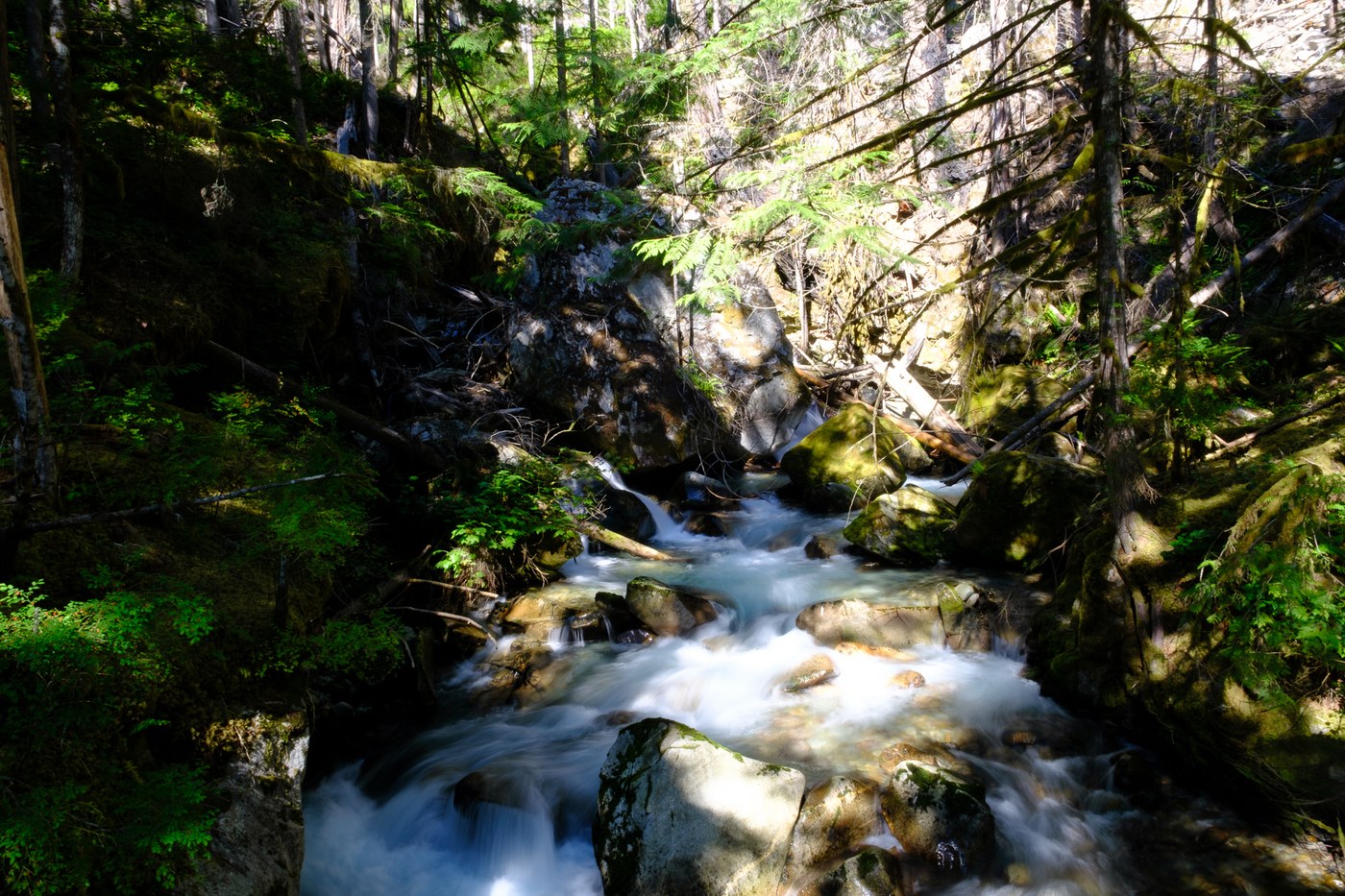 lower falls viewing area