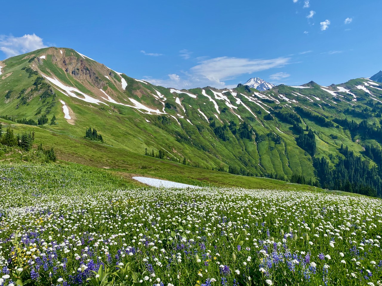 White Pass