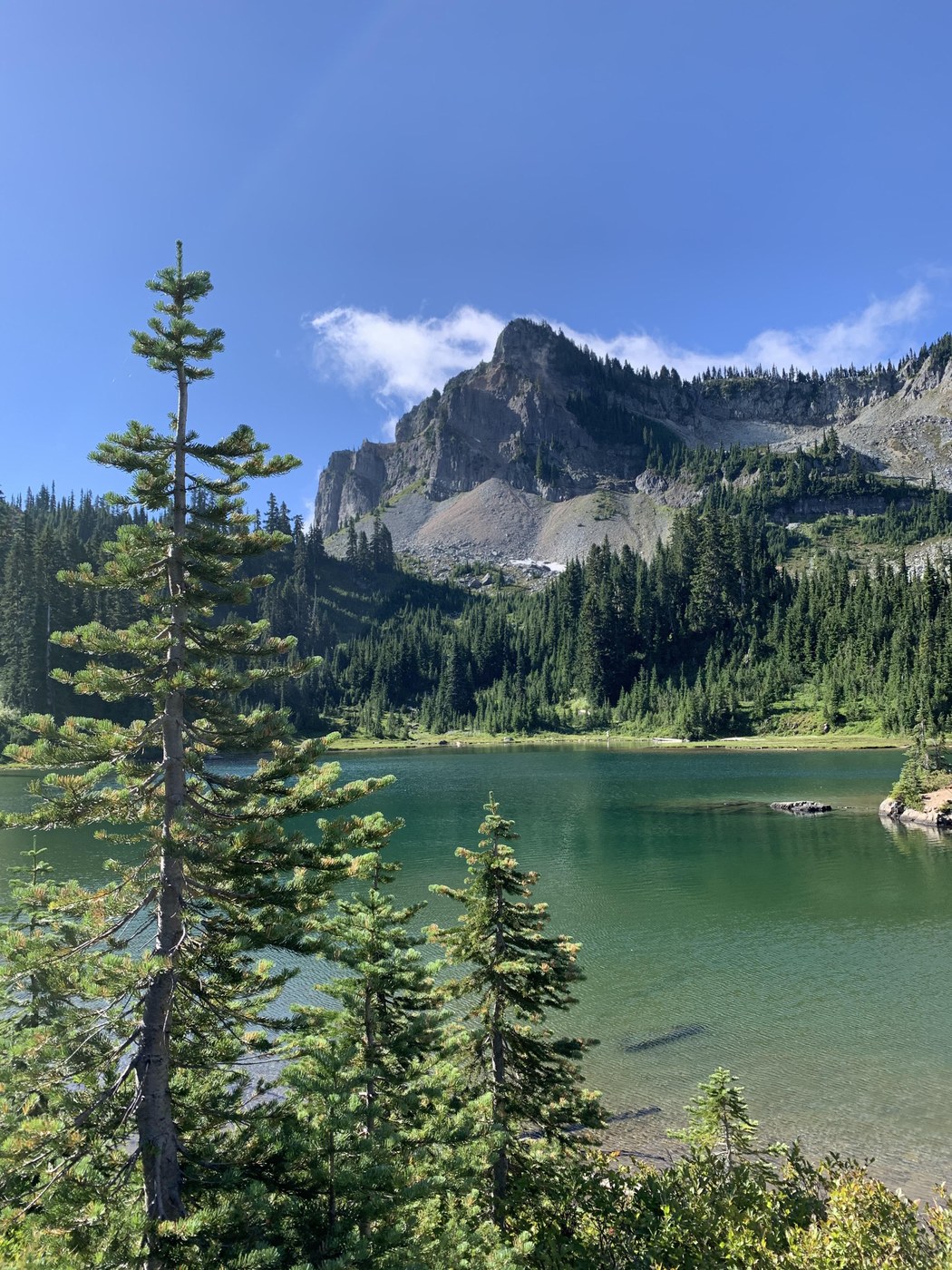 Little Cougar Lake