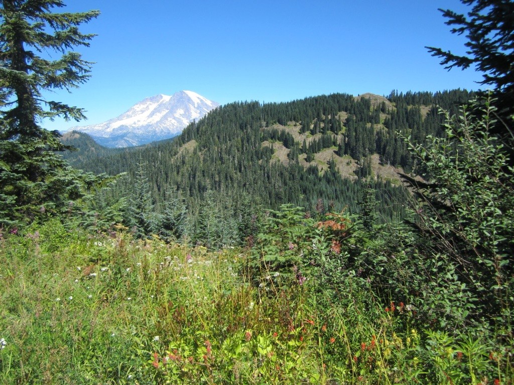 Mt. Rainier and Mt. Allen