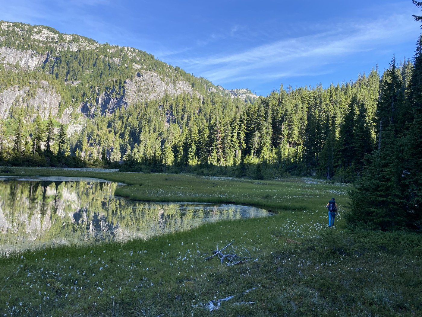 Meadow on the way to Iron Cap Pass