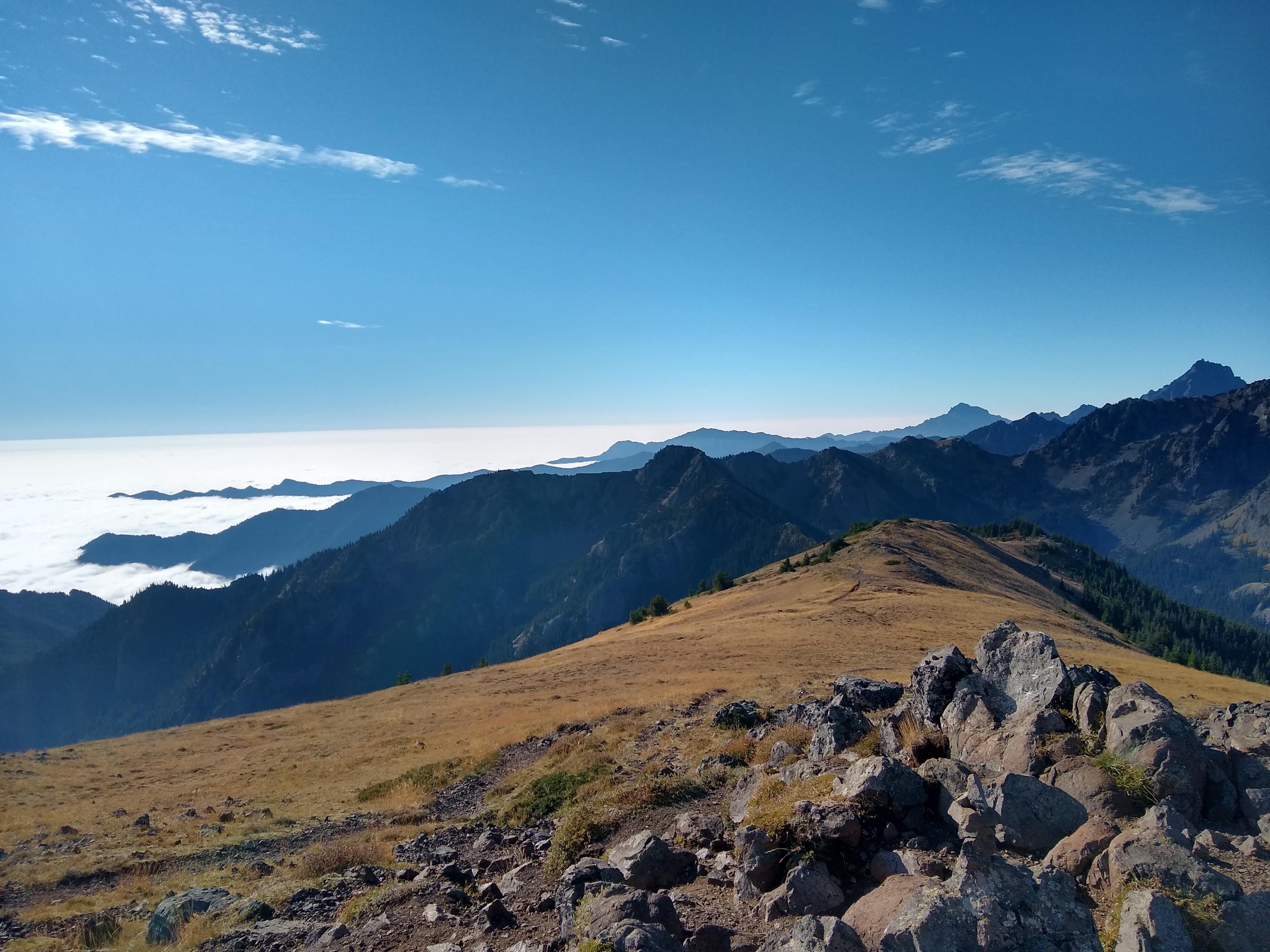 Mount Townsend — Washington Trails Association