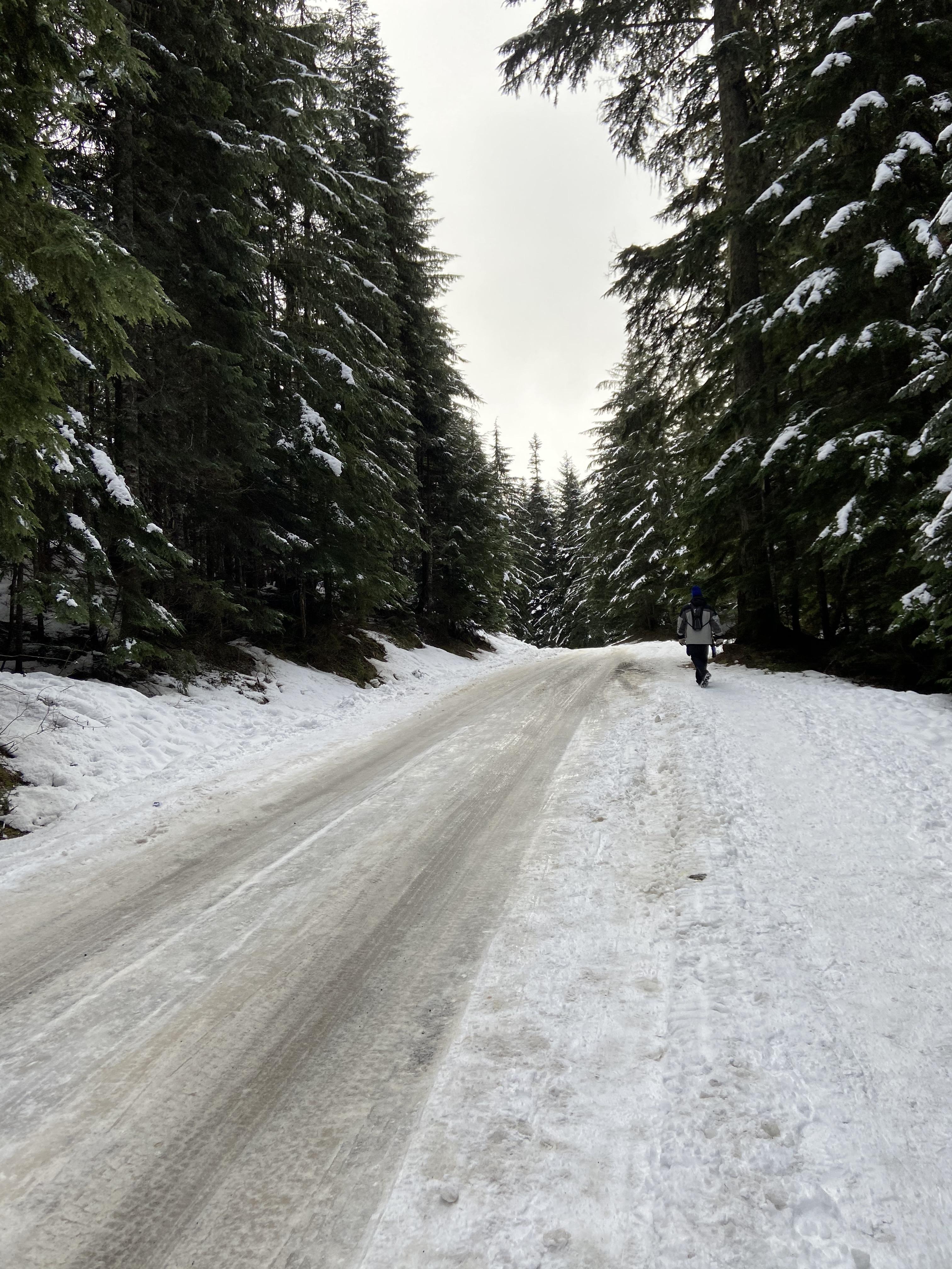 Gold Creek Pond Snowshoe — Washington Trails Association