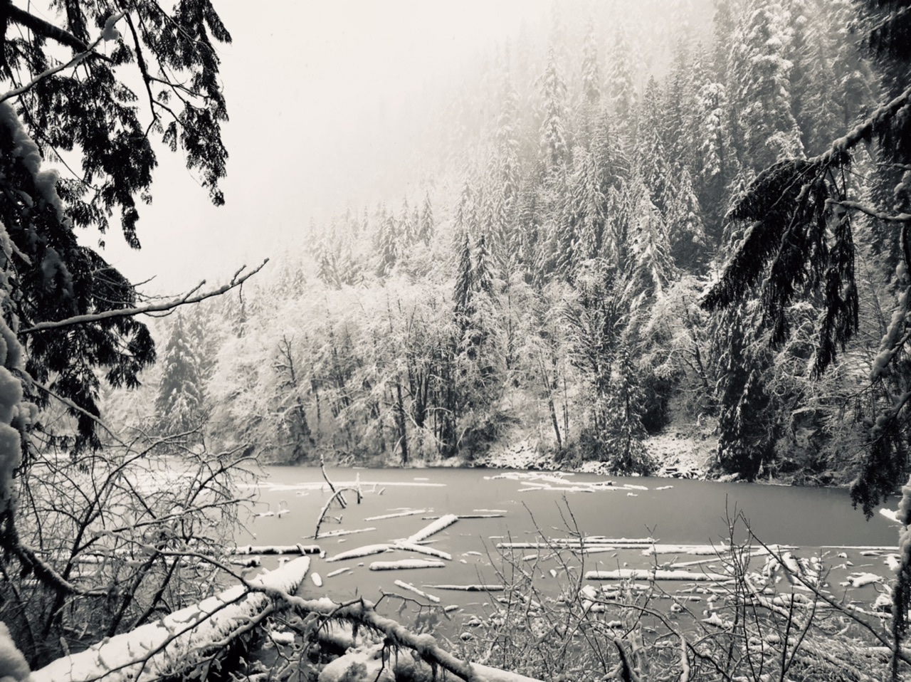 Frog Lake — Washington Trails Association