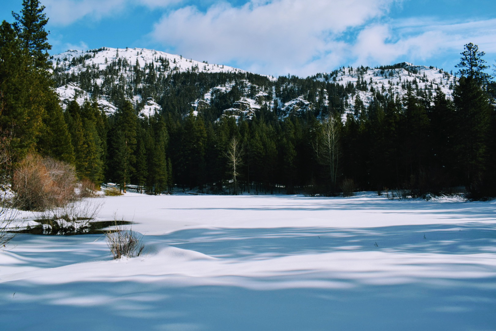 Tieton Pond Snowshoe — Washington Trails Association