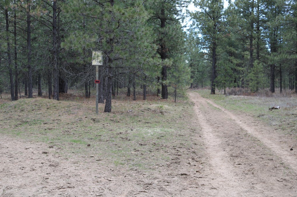 The first junction off of the main trail.