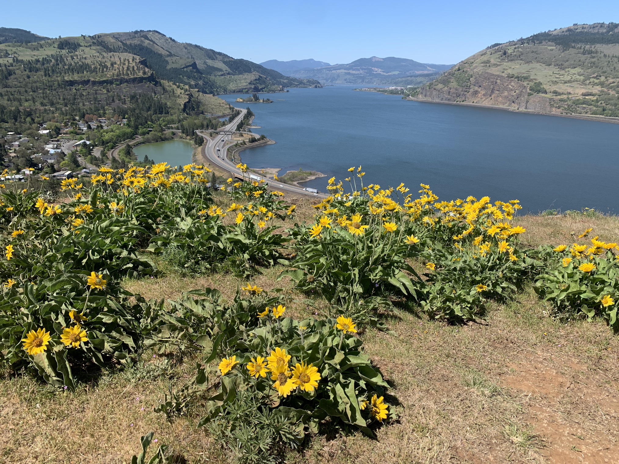 Mosier Creek Falls and Mosier Plateau — Washington Trails Association