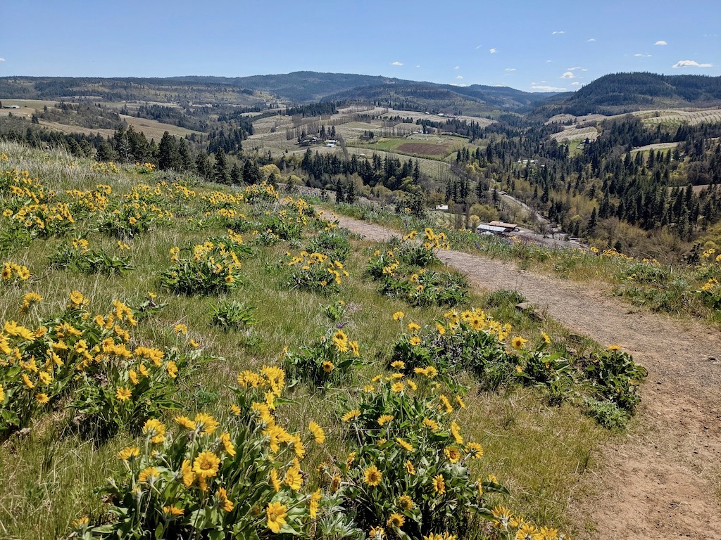 Mosier Creek Falls and Mosier Plateau — Washington Trails Association