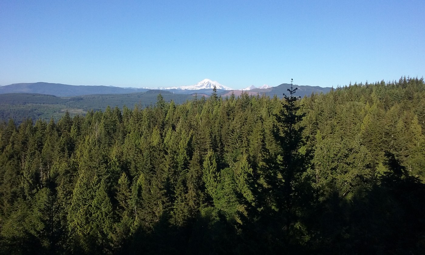 Mt. Baker from Chuckanut Ridge