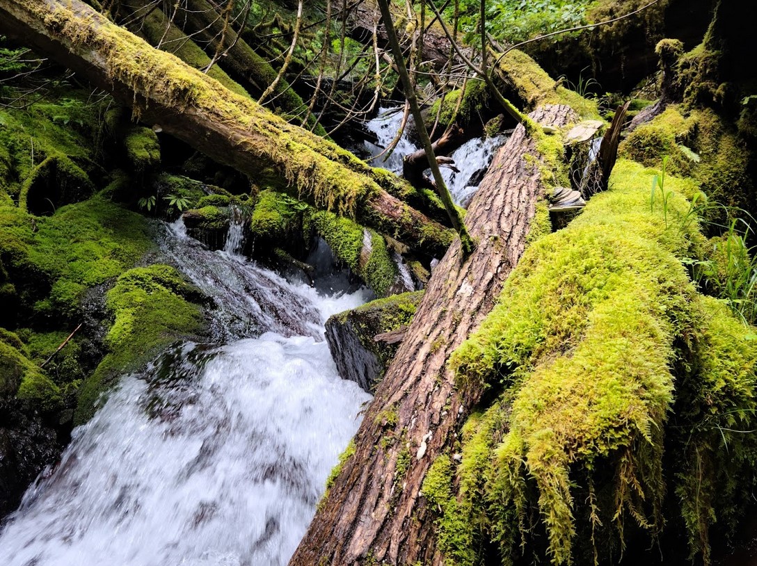 Staircase Rapids, Copper Creek — Washington Trails Association