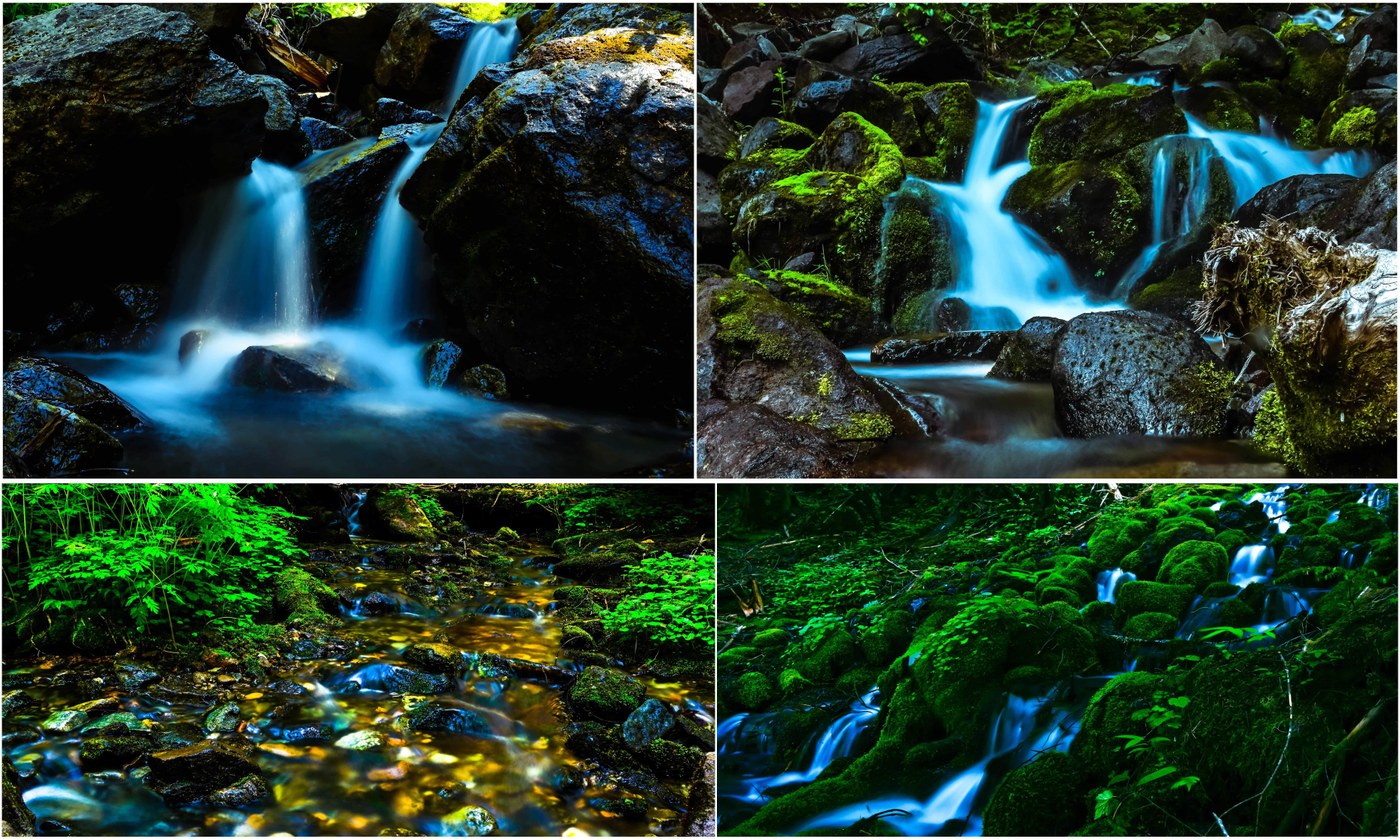 Many Beautiful Stream Crosssings
