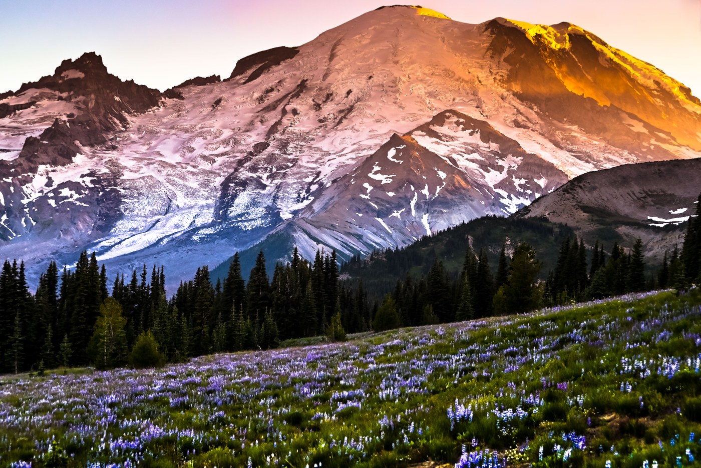 Sunrise Meadow Views near trailhead