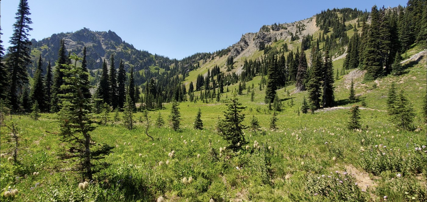 Meadows near Sheep Lake