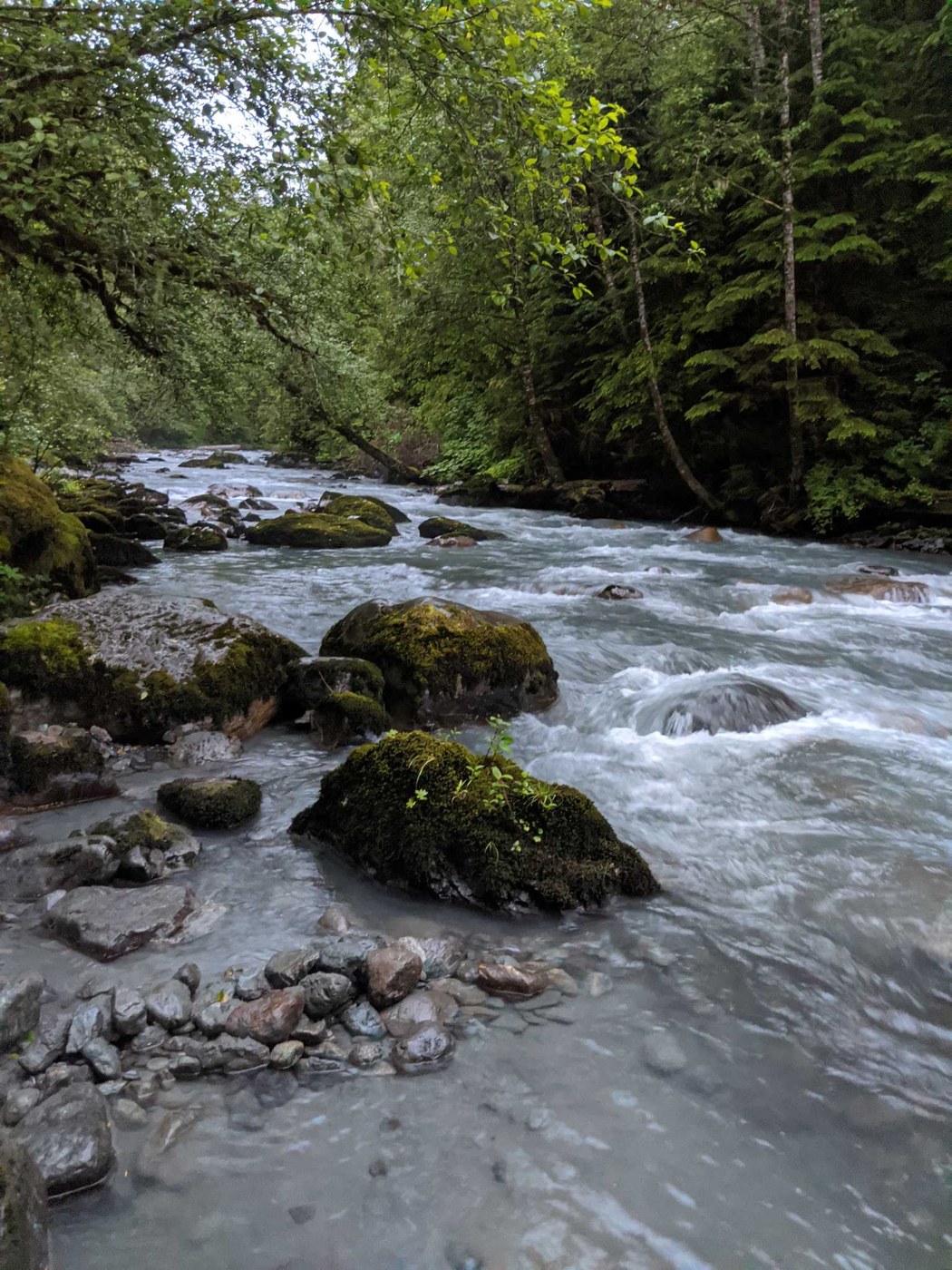 Boulder River by Laceyt
