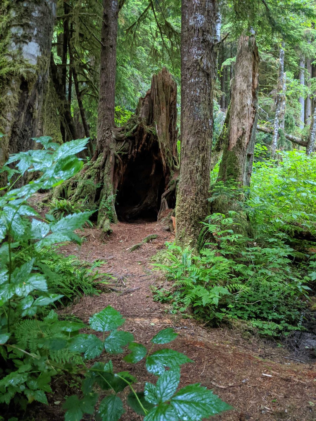 Boulder River by Laceyt