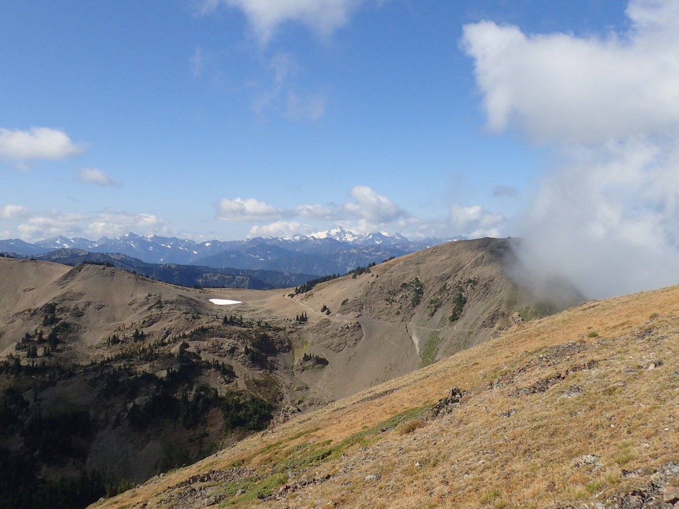 View of Mt Olympus from Elk Mtn