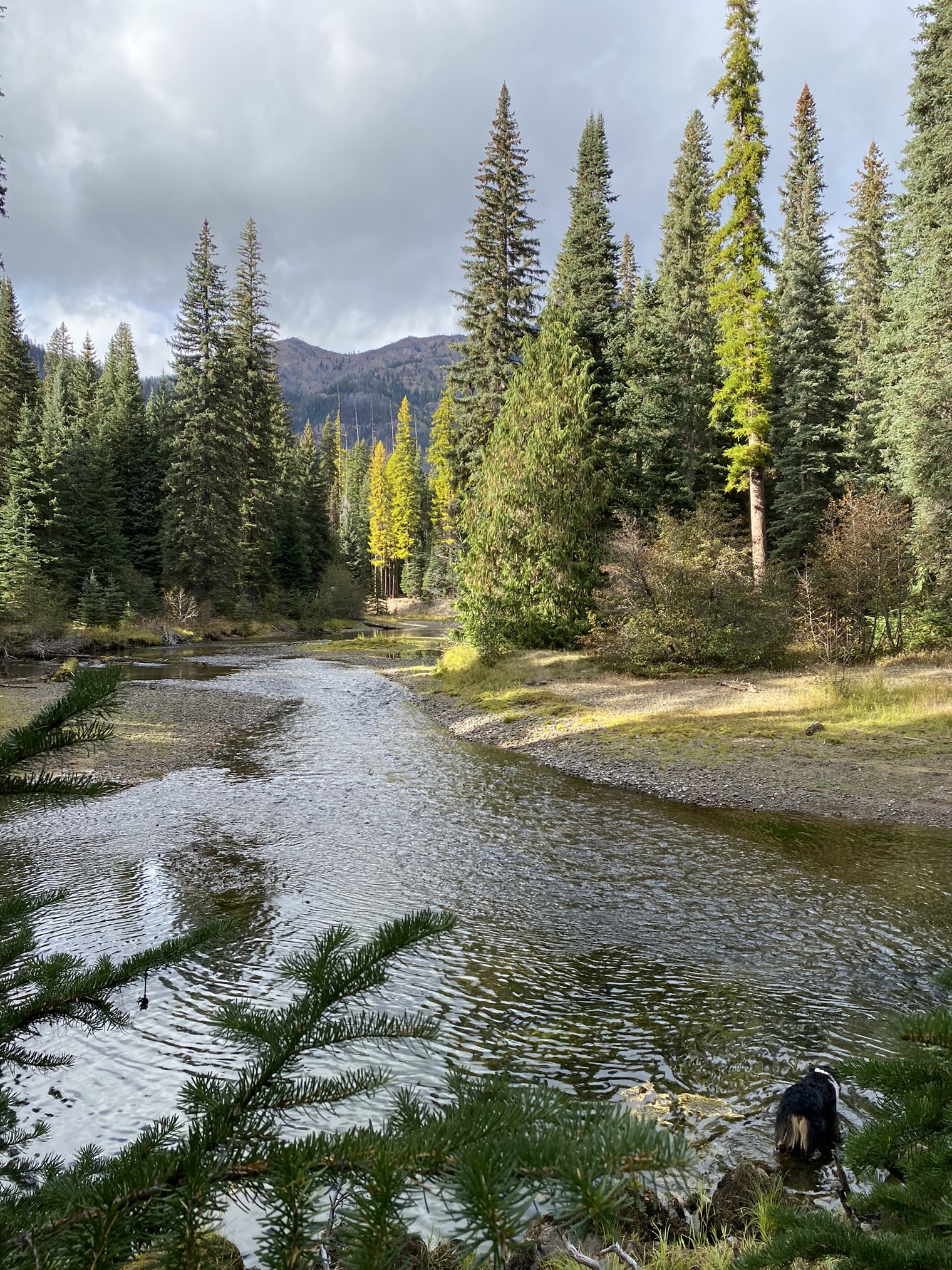 Pleasant Valley Lake — Washington Trails Association