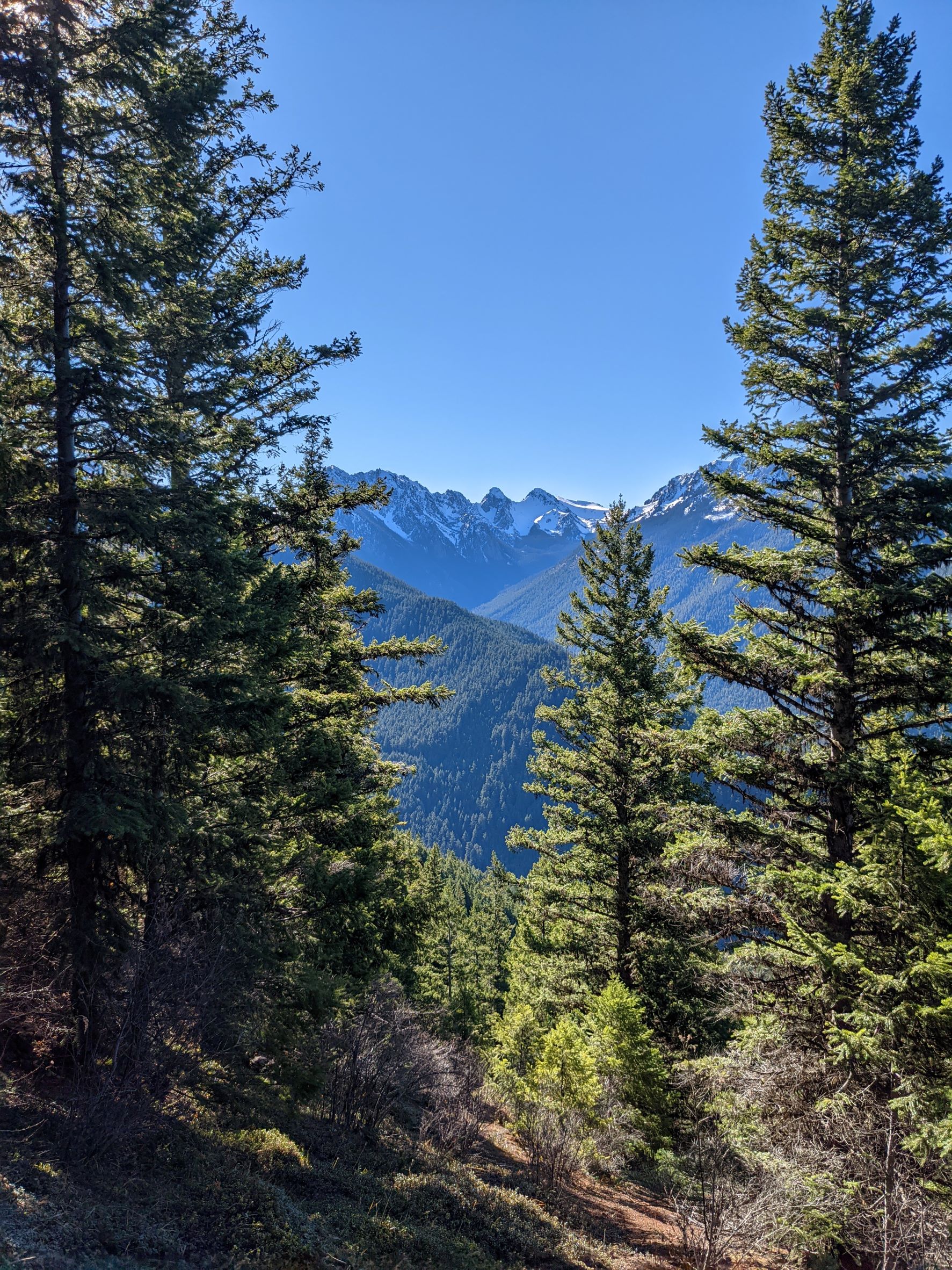 Mount Townsend Silver Lakes Traverse, Dirty Face Ridge — Washington
