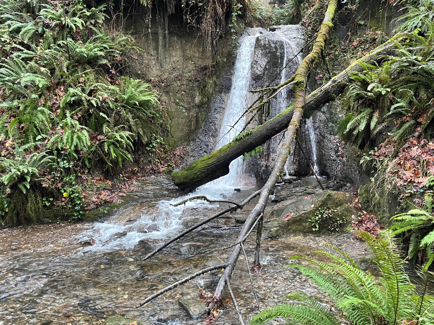 North Fork Falls